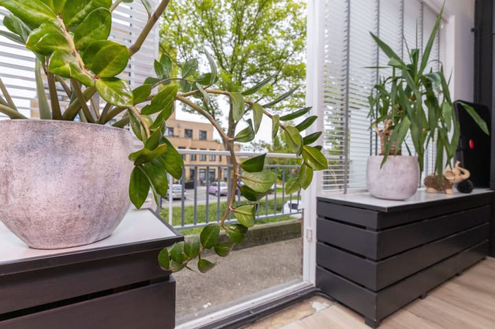 Foto 19 van Boogschutter 24