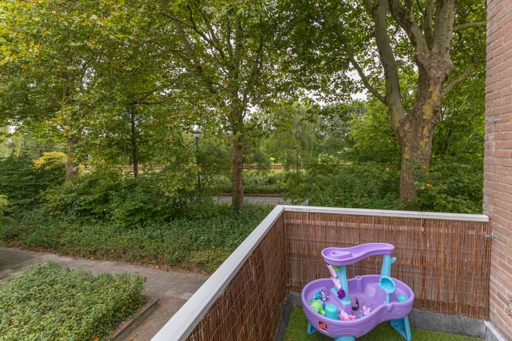 Foto 22 van Boogschutter 24