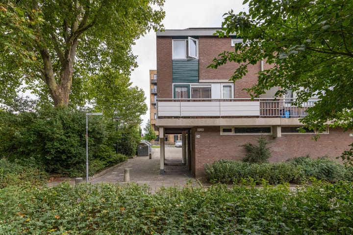 Foto 37 van Boogschutter 24