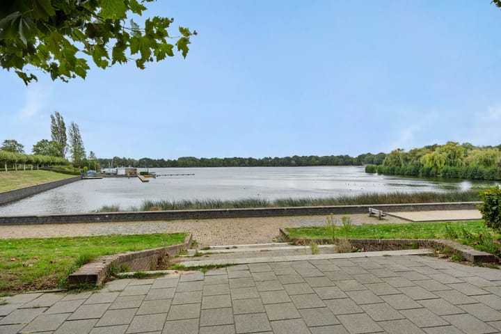 Foto 19 van Dommelstraat 165