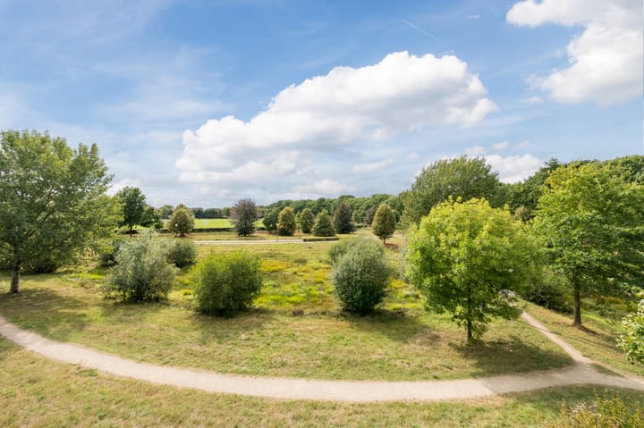 Foto 9 van Grasbaan 76