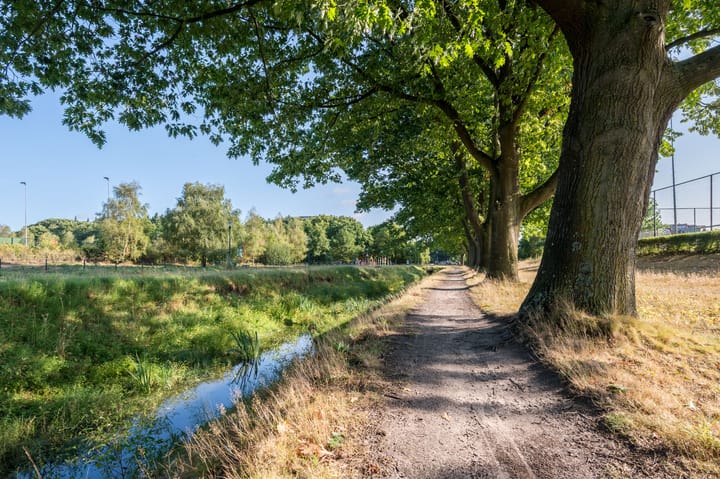 Foto 38 van Grasbaan 76