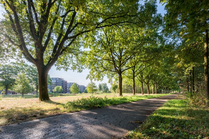 Foto 39 van Grasbaan 76