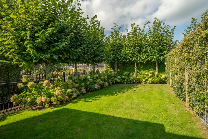 Photo 53 of Spaaklaan 55