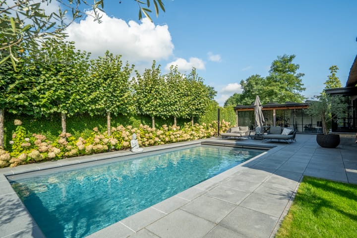 Photo 55 of Spaaklaan 55