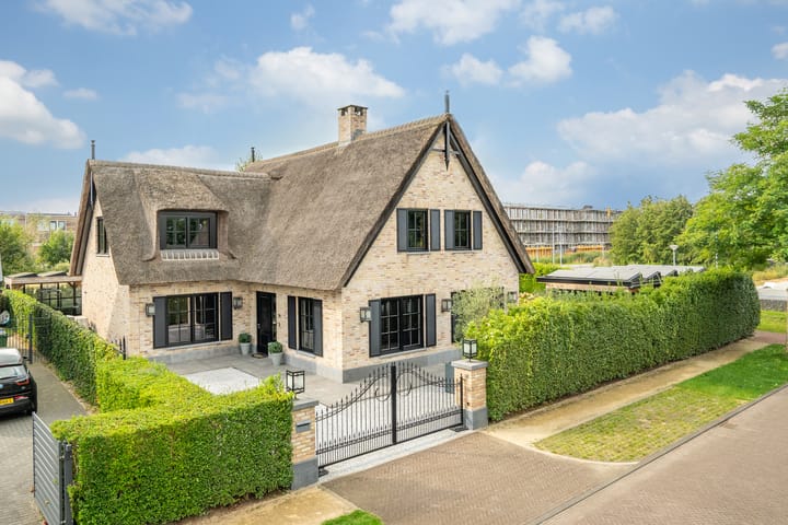 Photo 63 of Spaaklaan 55