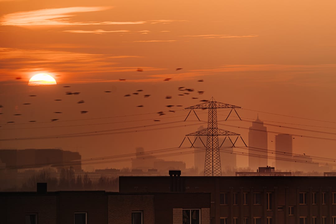 Foto 43 van Ben van Meerendonkstraat 321