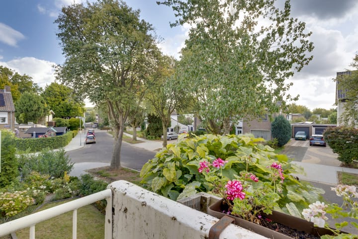 Foto 24 van Einthovenstraat 5