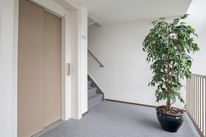 Foto 13 van Skries 19-J