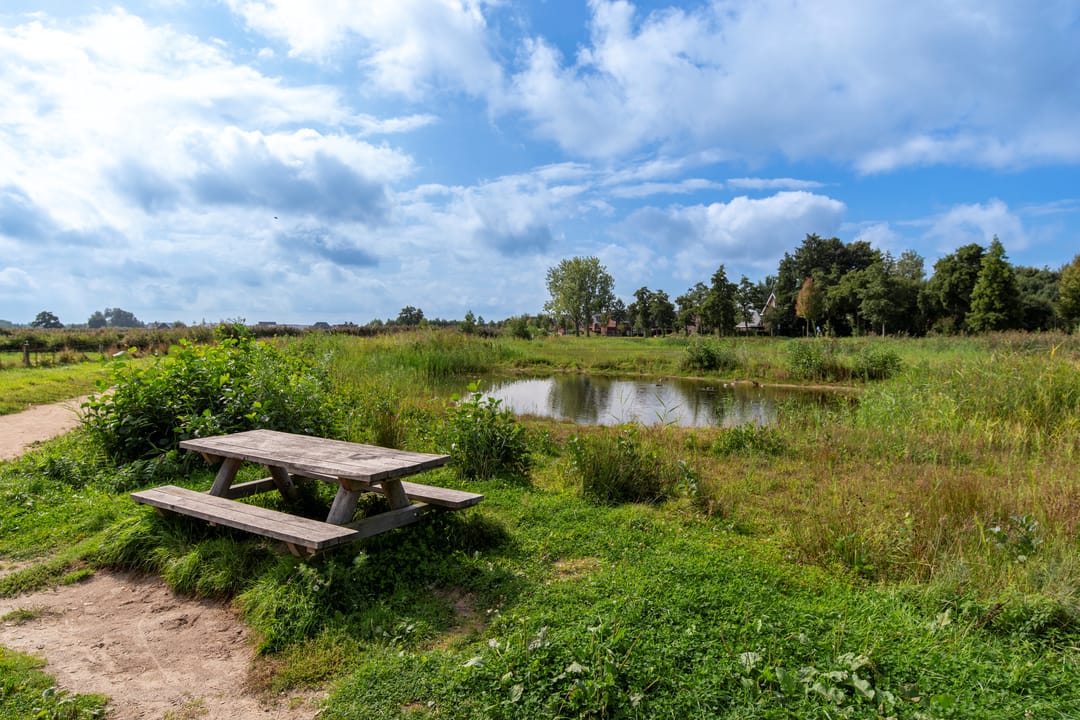 Foto 41 van Van de Polerf 17