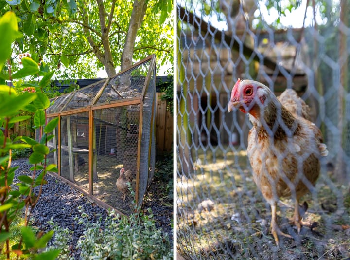 Foto 58 van Mooieweg 174