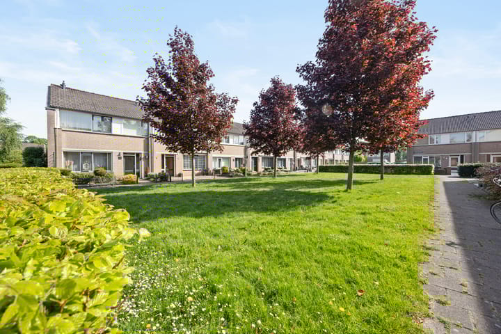 Foto 34 van Franz Lehárpark 39