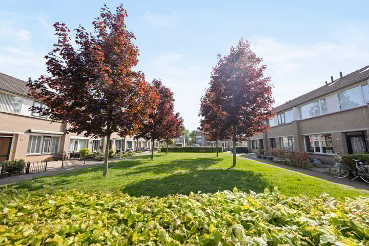 Foto 35 van Franz Lehárpark 39