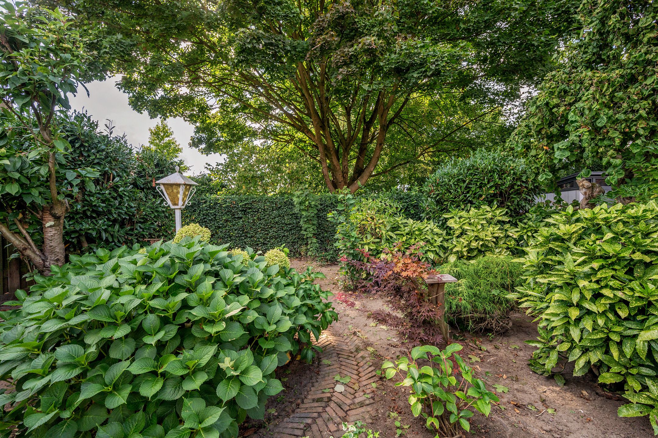 Photo 45 of van Dolhoffstraat 1