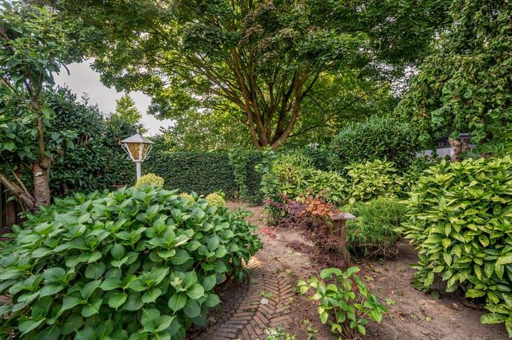 Foto 45 van van Dolhoffstraat 1