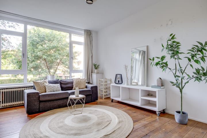 Foto 10 van Tolsteegplantsoen 28