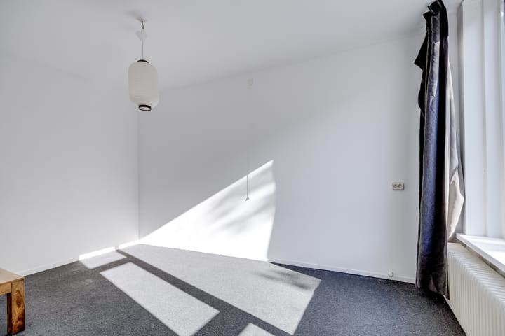 Foto 20 van Tolsteegplantsoen 28