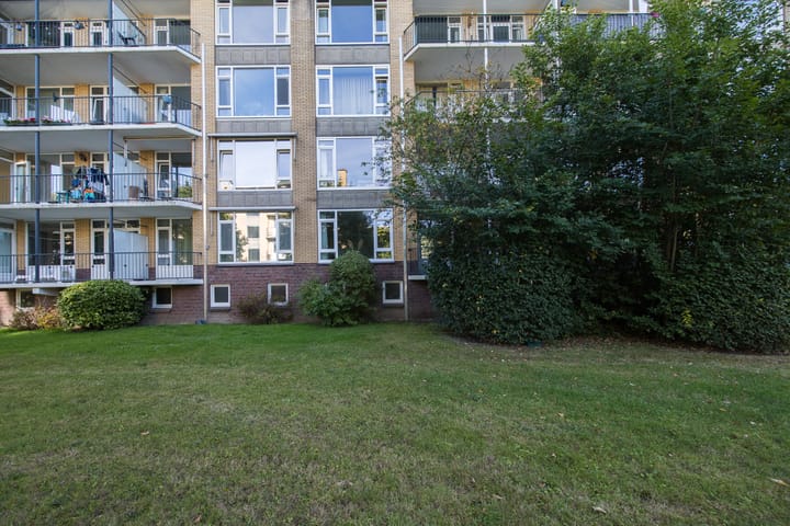 Foto 41 van Tolsteegplantsoen 28