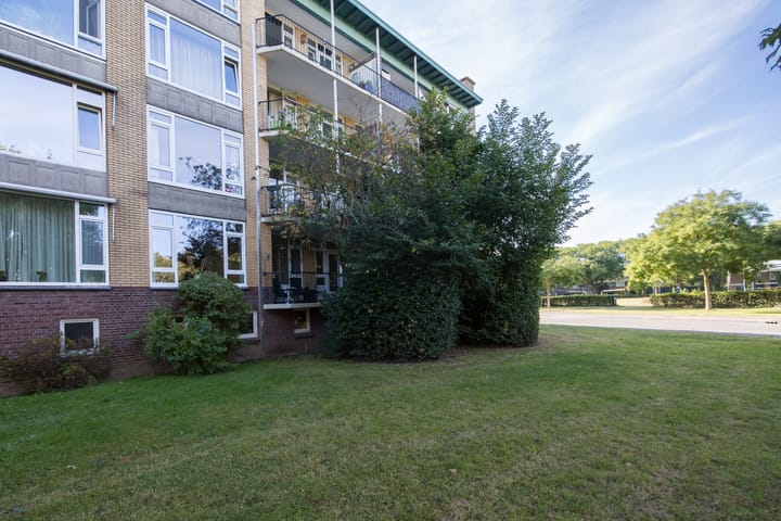 Foto 42 van Tolsteegplantsoen 28