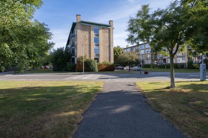 Foto 43 van Tolsteegplantsoen 28