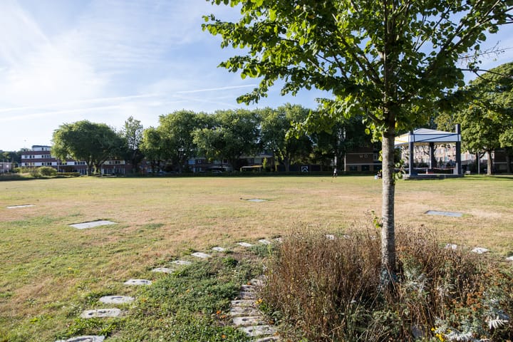 Foto 44 van Tolsteegplantsoen 28