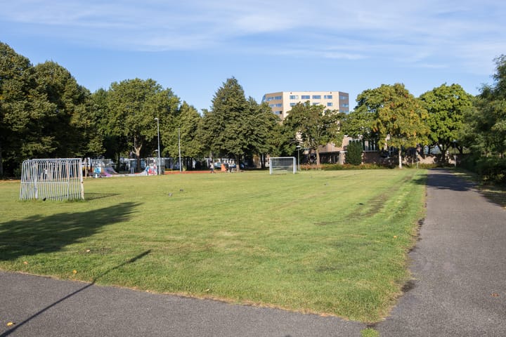 Foto 45 van Tolsteegplantsoen 28