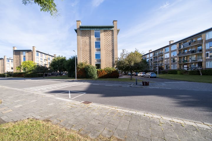 Foto 46 van Tolsteegplantsoen 28