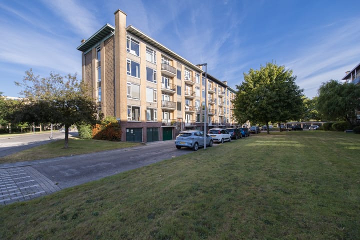 Foto 47 van Tolsteegplantsoen 28