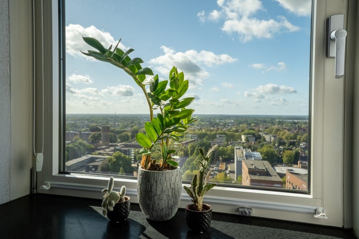 Foto 34 van Westpoint 84