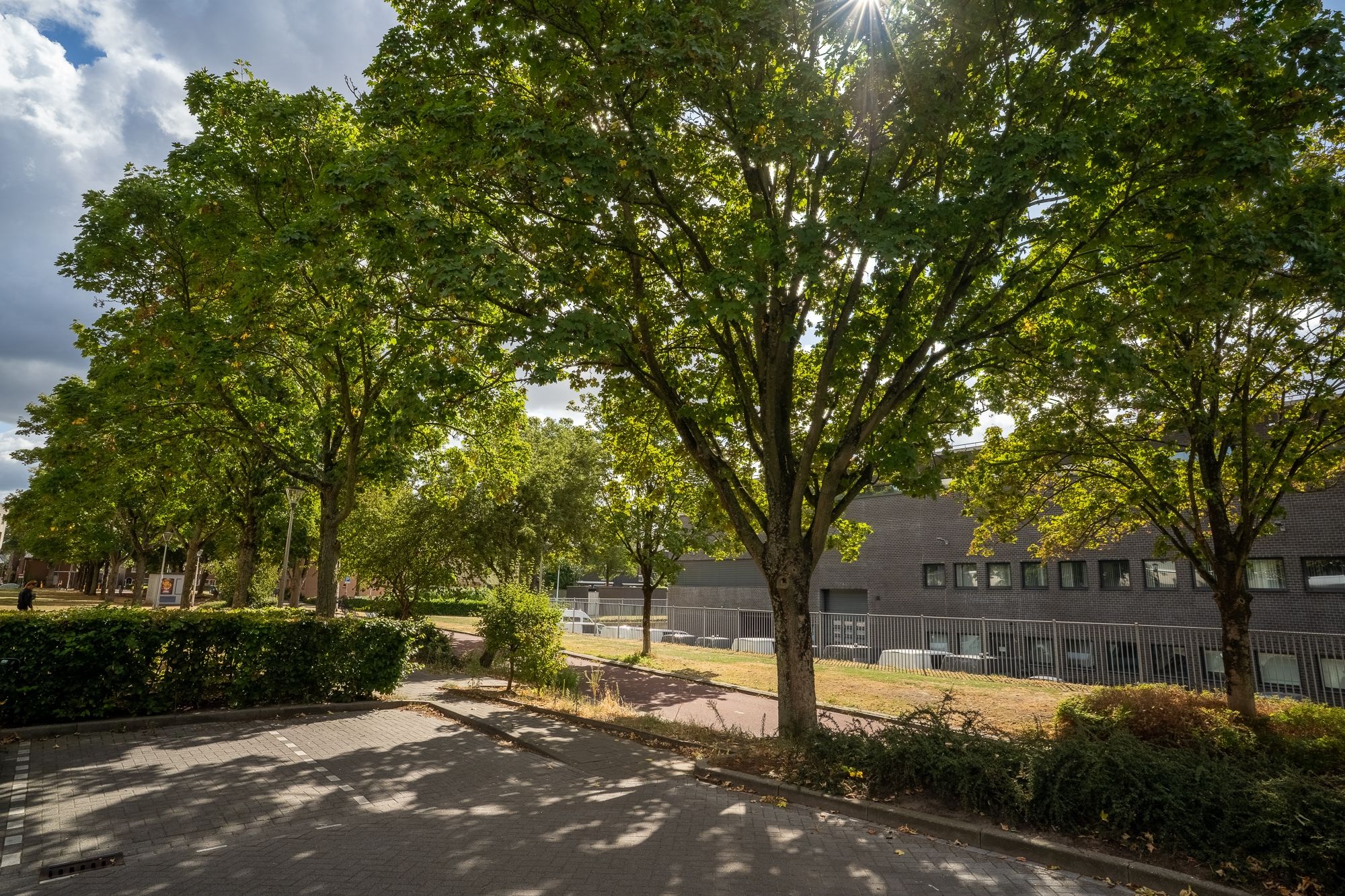 Foto 69 van Westpoint 84