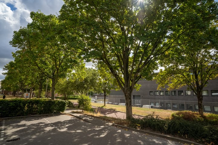 Foto 69 van Westpoint 84