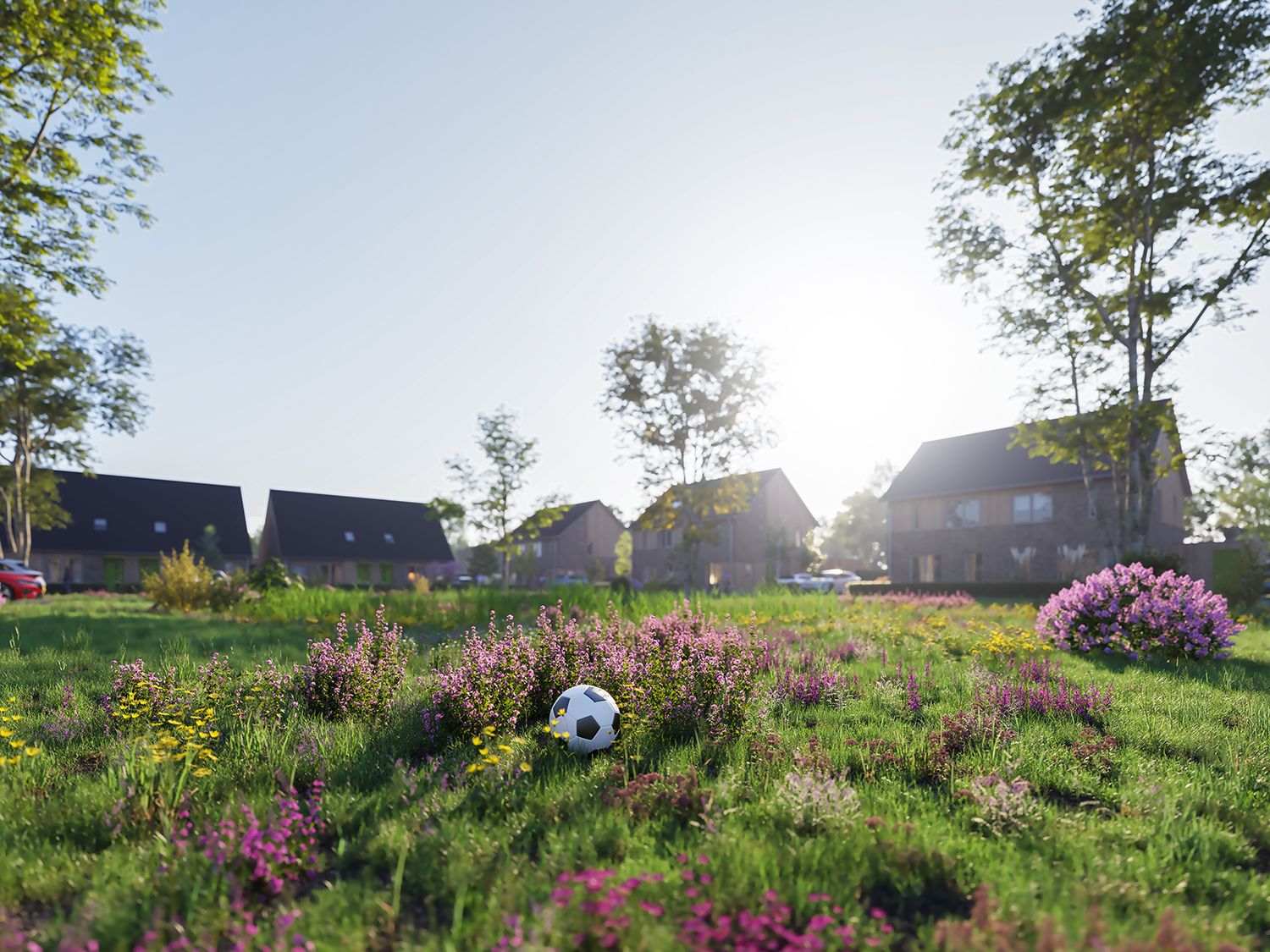 Ridderspoor (Bouwnr. 17), Smilde, 9422VC, Drenthe, Nederland