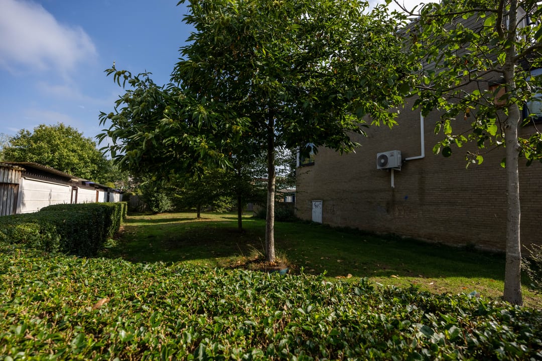 Foto 38 van Tolhuis 3315