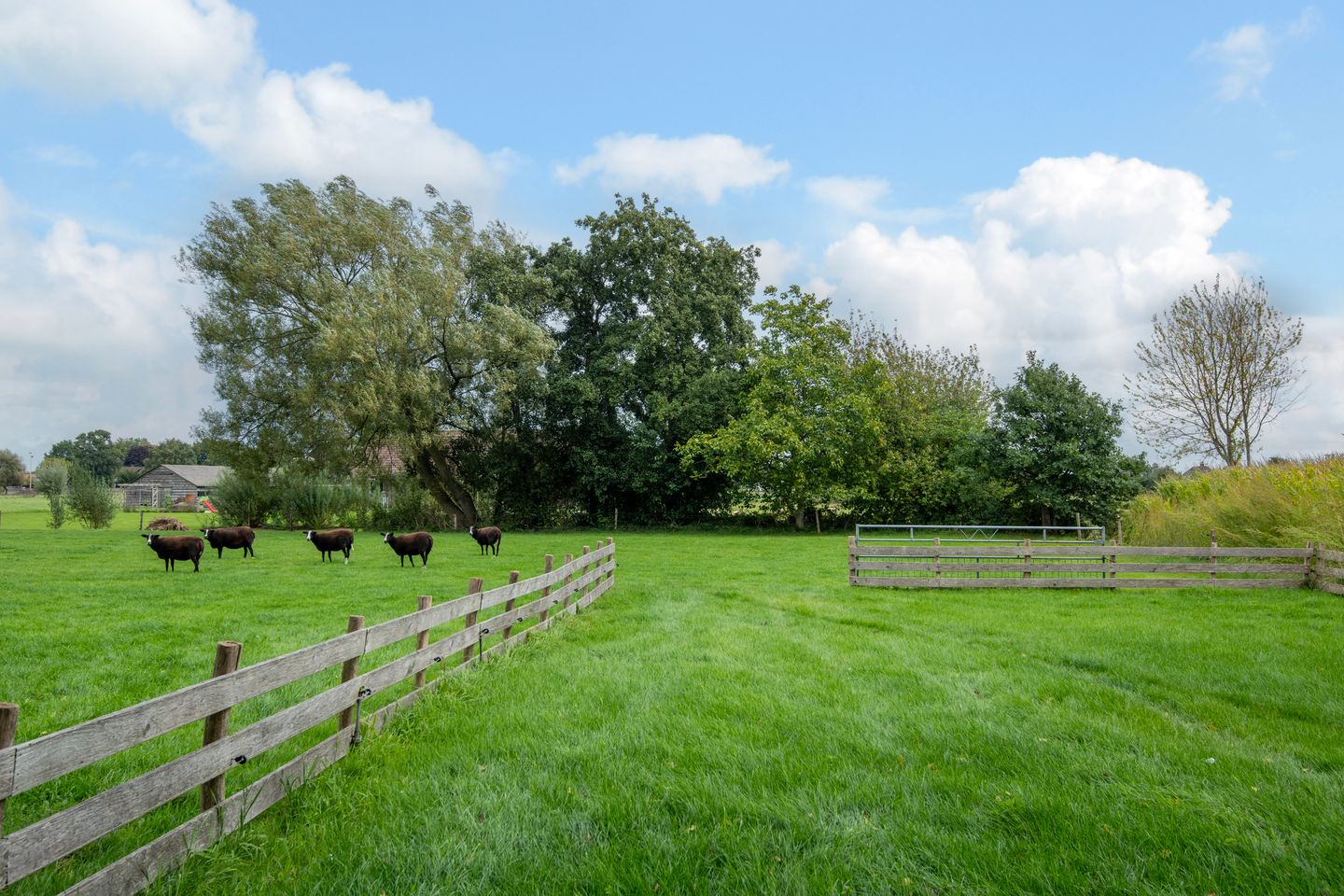 Foto 59 van Donkervoorterweg 12