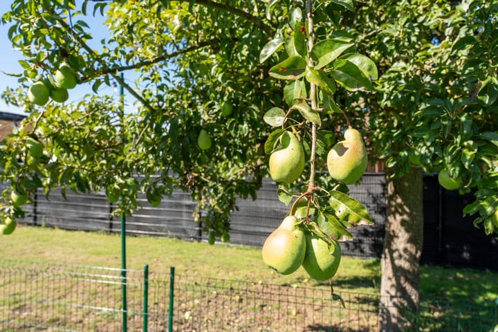 Foto 27 van Deckersstraat 12