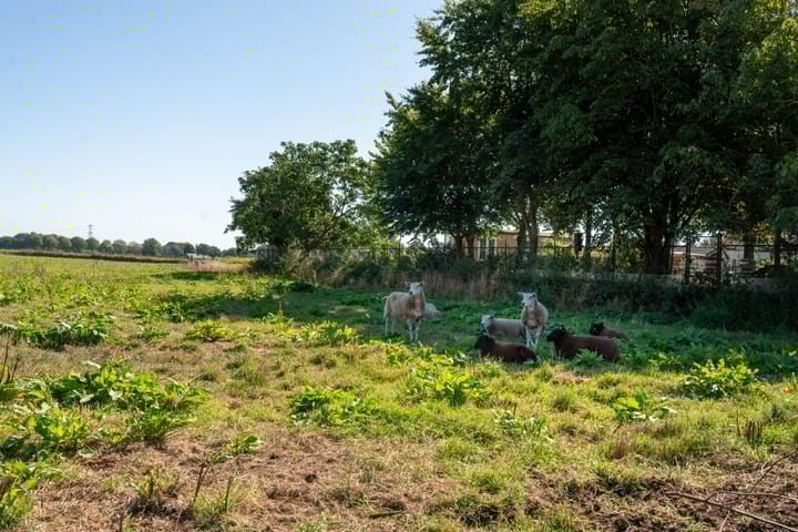 Foto 28 van Deckersstraat 12