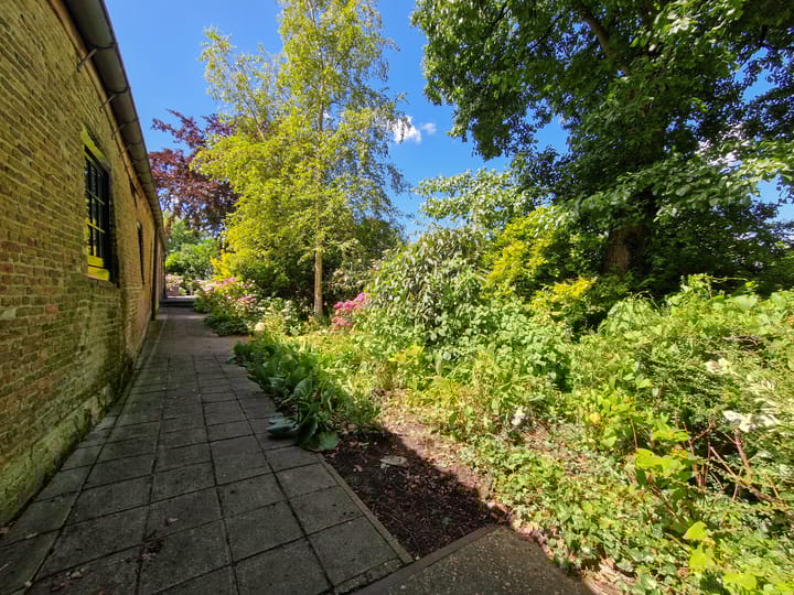 Foto 41 van Dorpsstraat 55