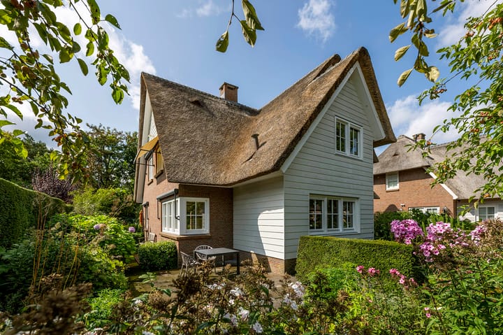 Foto 3 van Rueterlaan 4