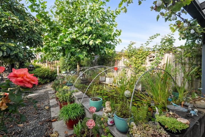 Foto 15 van Boterzwin 4405