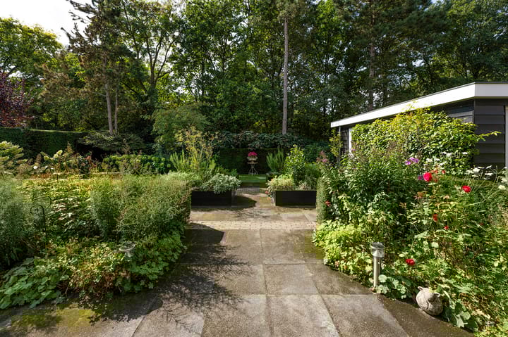 Photo 51 of Rueterlaan 4