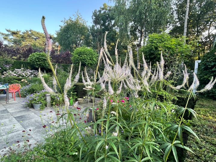 Photo 54 of Rueterlaan 4