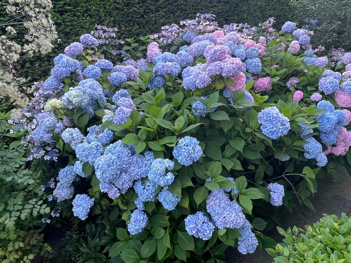 Photo 55 of Rueterlaan 4