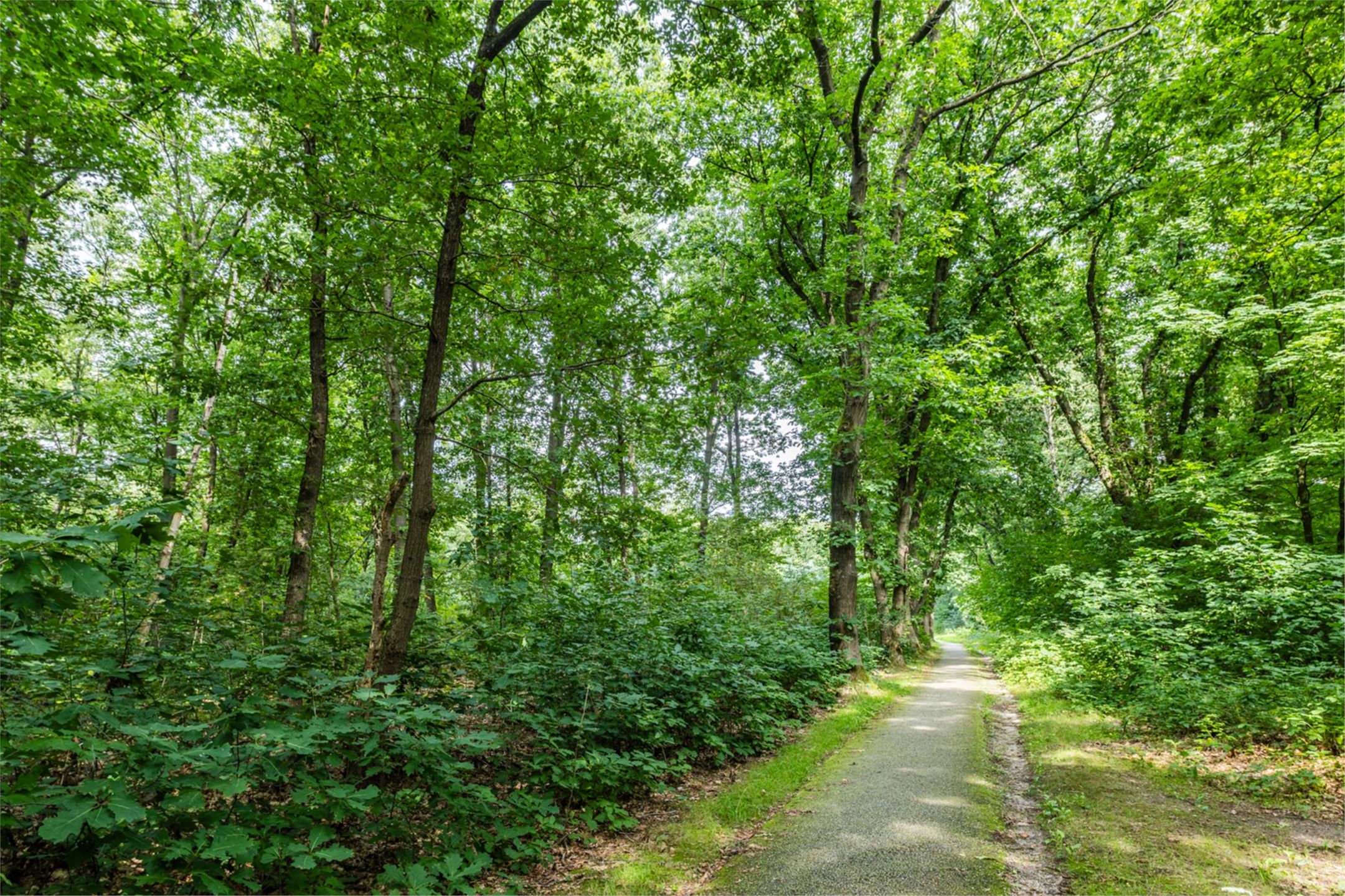 Photo 27 of Arubalaan 64-B