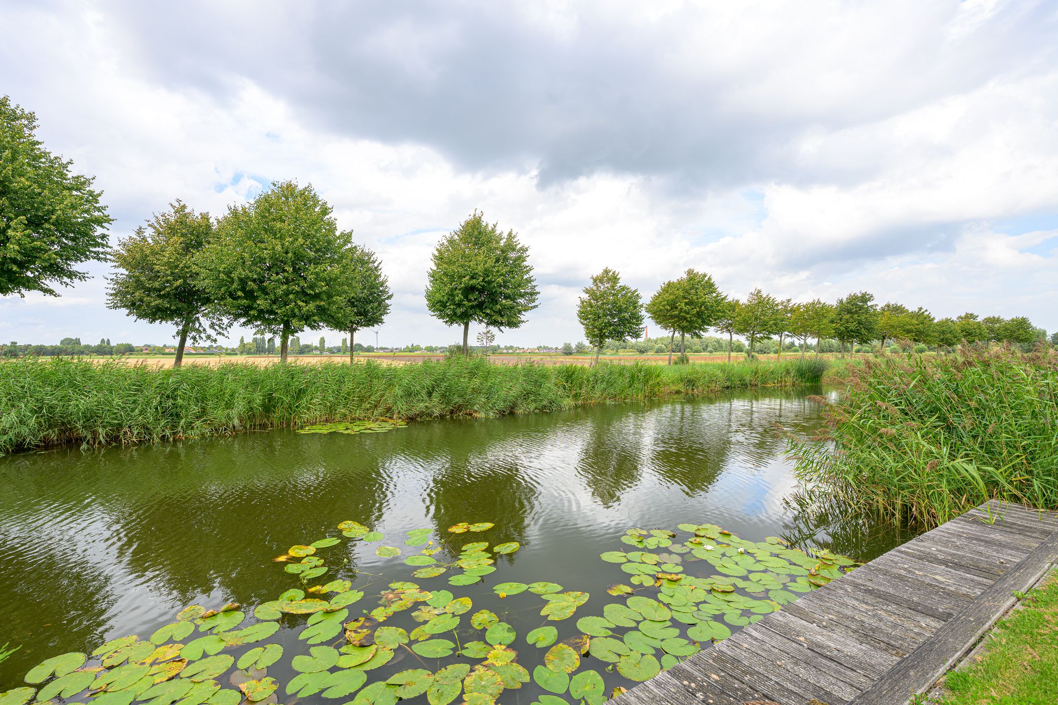 Foto 3 van Droge Wijmersweg 5-102