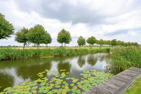 Droge Wijmersweg 5-102 tertiary image