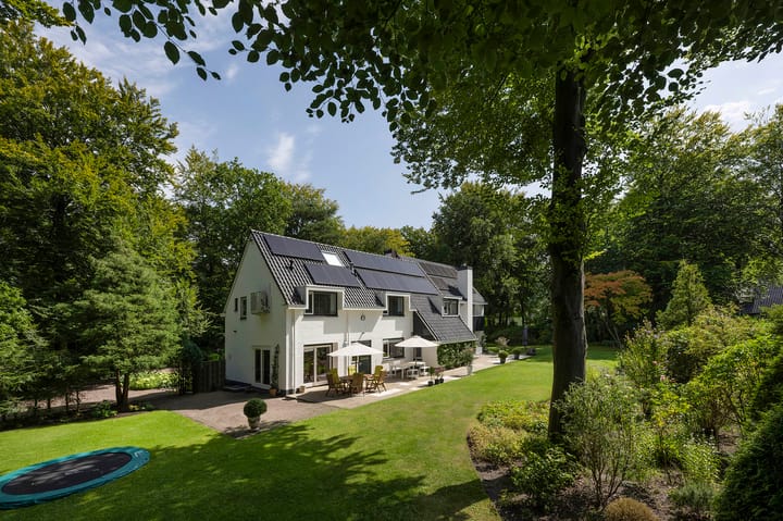 Foto 36 van Koning Willem III-laan 9