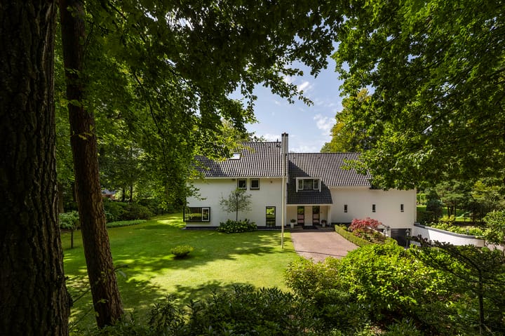 Foto 39 van Koning Willem III-laan 9