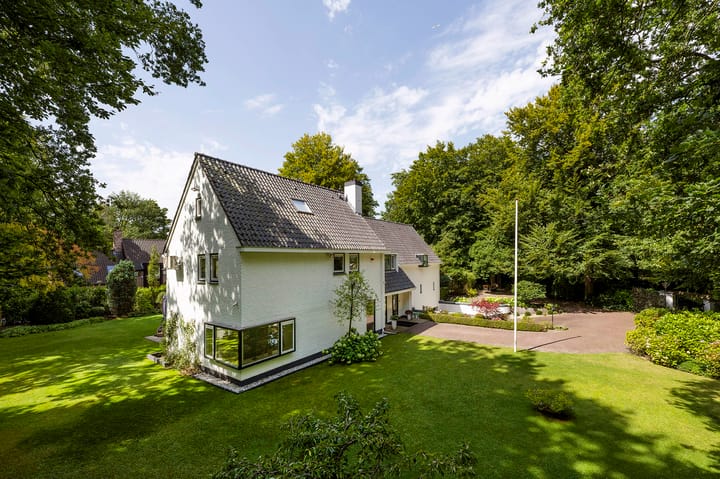 Foto 41 van Koning Willem III-laan 9