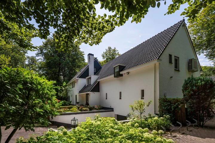 Foto 42 van Koning Willem III-laan 9