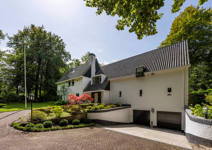 Foto 43 van Koning Willem III-laan 9